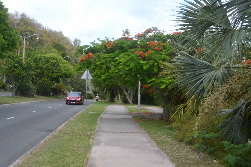 hamilton